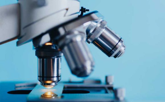 Clase de Ciencias CEIP Prácticas No.1