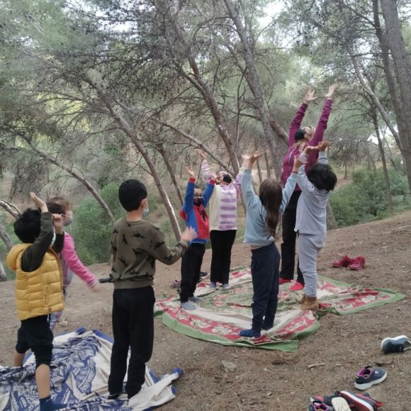 WhatsApp Image 2022-02-06 at 20.46.21 Salida al bosque Primer Ciclo