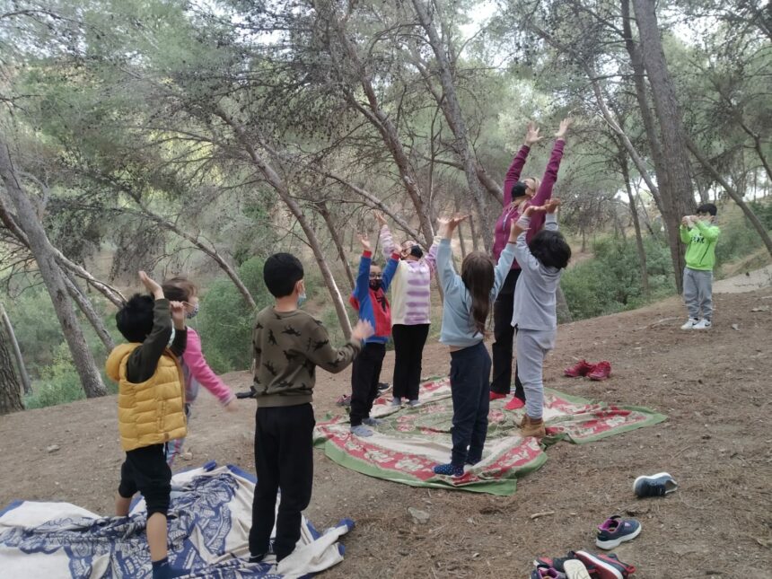 Salida al bosque Primer Ciclo