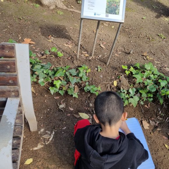 IMG-20230209-WA0012 Clase en el Parque