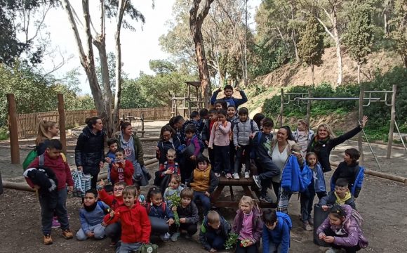 Grupos interactivos en el bosque